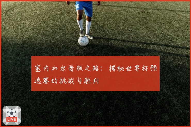 塞内加尔晋级之路：揭秘世界杯预选赛的挑战与胜利