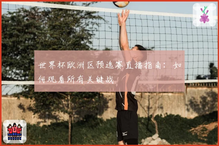 世界杯欧洲区预选赛直播指南：如何观看所有关键战