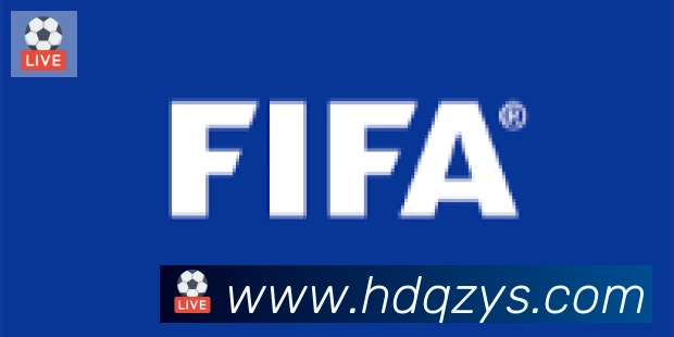 开云官方手机网页版合作伙伴